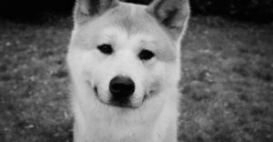 Meet your Posher, Brandi